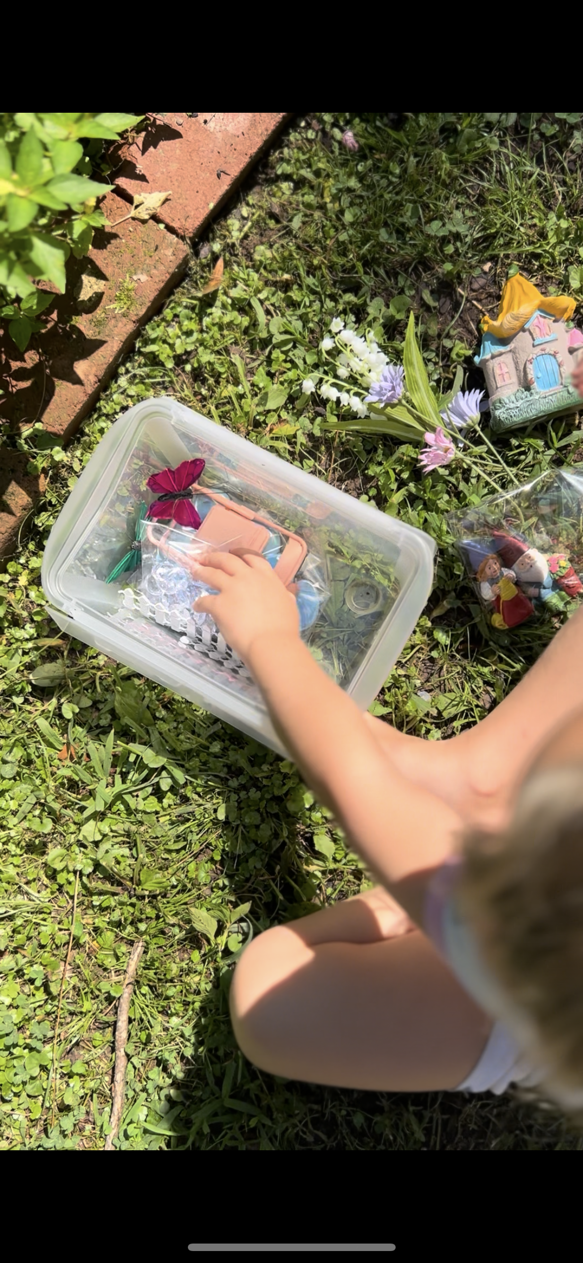 Enchanted Fairy Garden