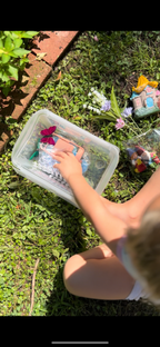 Enchanted Fairy Garden